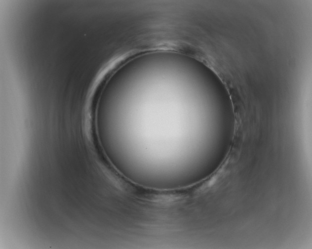 X0000113740342200910071050