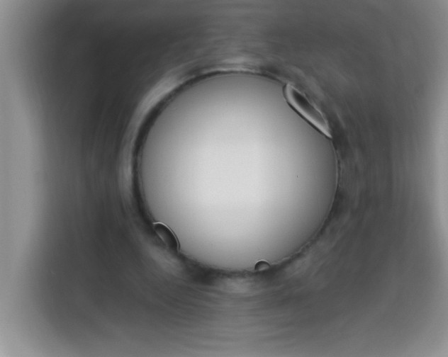 X0000113740344200910071050