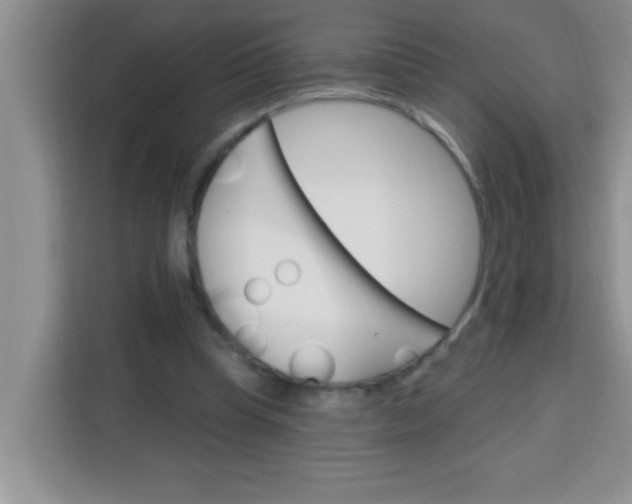 X0000113740345200910071050