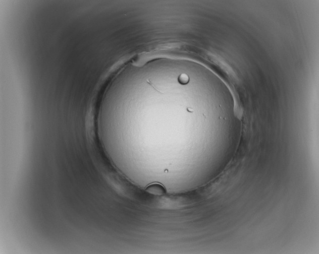 X0000113740346200910071050