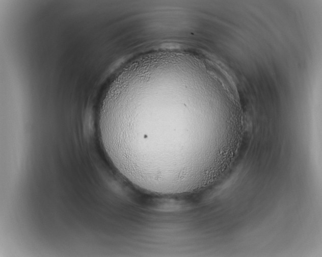 X0000113740347200910071050