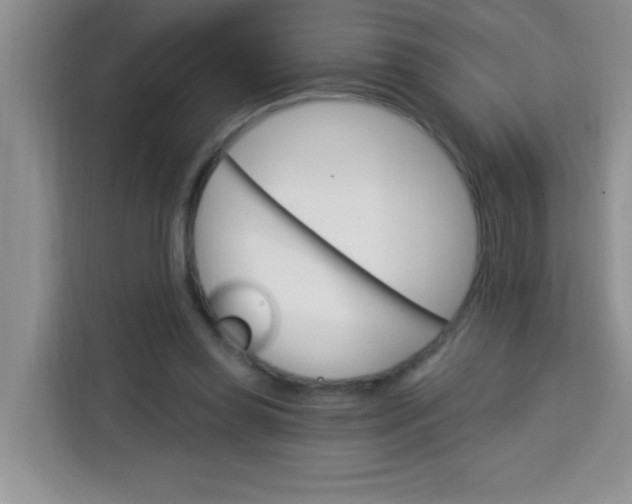 X0000113740349200910071050