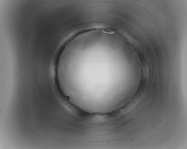 X0000113740350200910071050