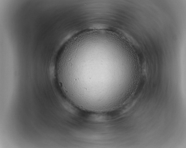 X0000113740351200910071050