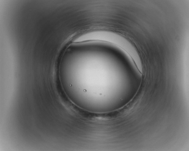 X0000113740352200910071050