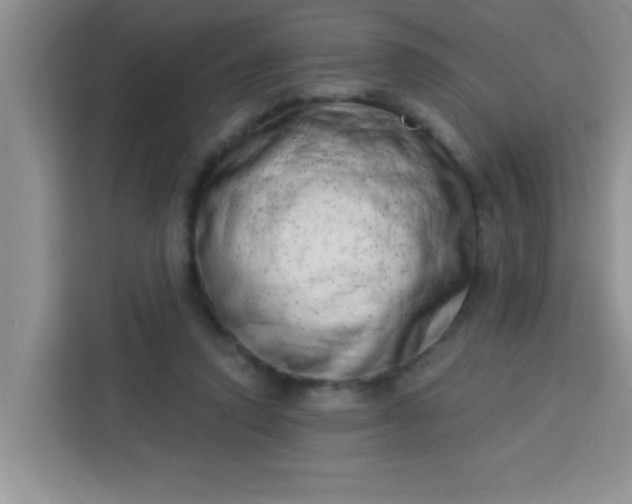 X0000113740354200910071050