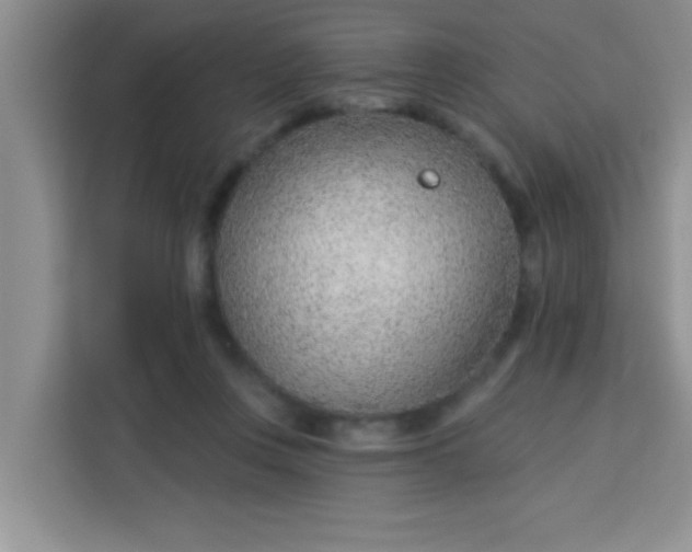 X0000113740359200910071050