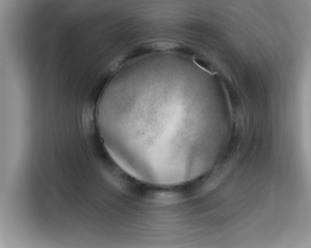 X0000113740360200910071050