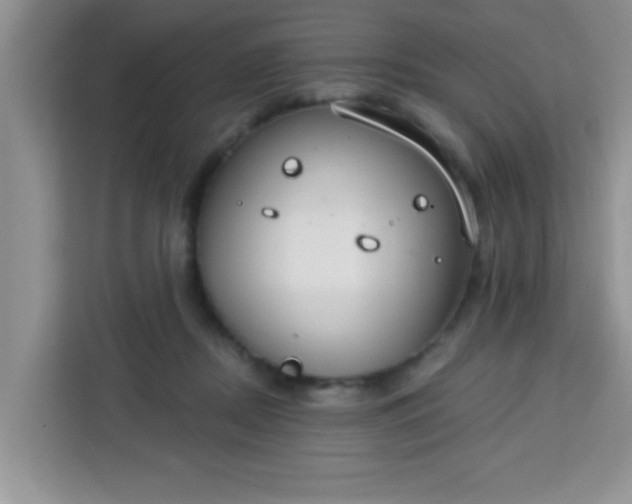 X0000113740362200910071050