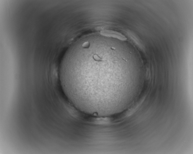 X0000113740363200910071050