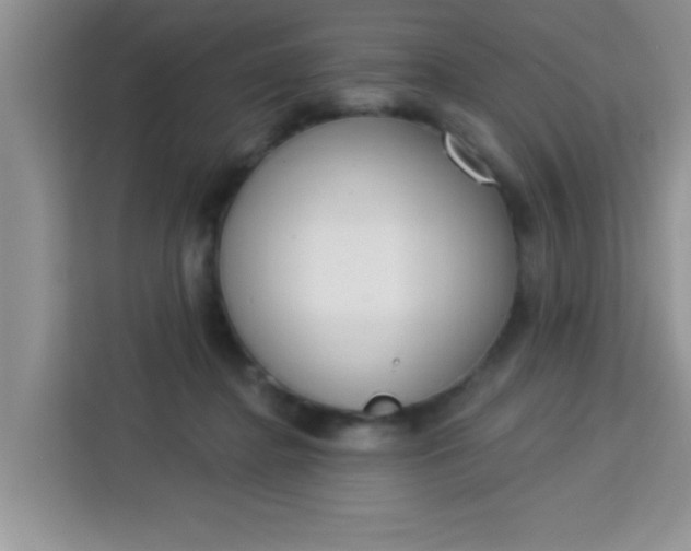 X0000113740364200910071050