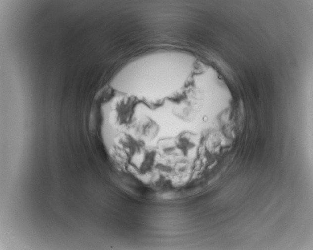 X0000113740365200910071050