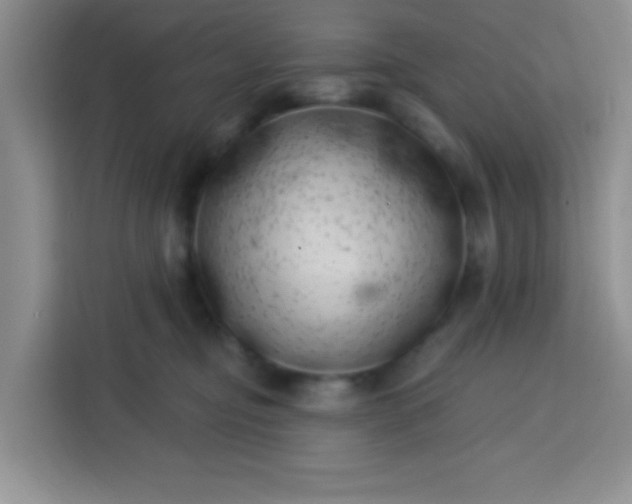 X0000113740374200910071051