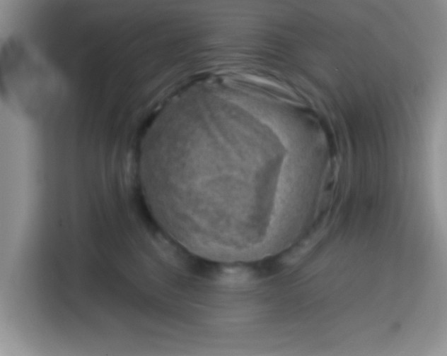 X0000113740376200910071051