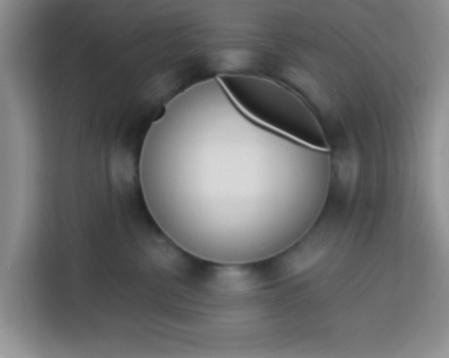 X0000113740380200910071051