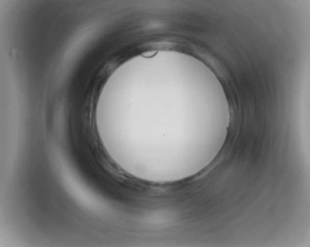 X0000113740381200910071051