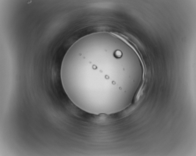 X0000113740382200910071051