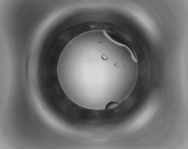 X0000113740383200910071051