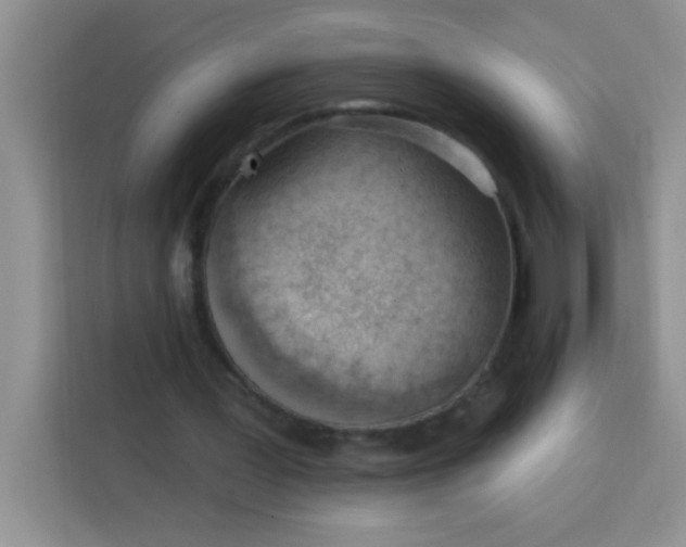 X0000113740387200910071050