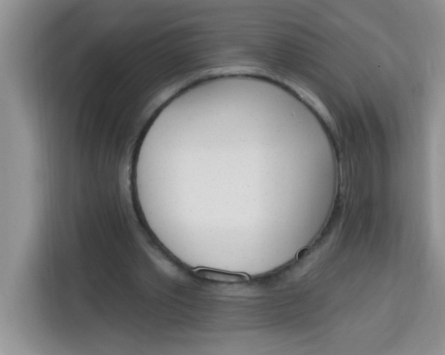 X0000113740389200910071050