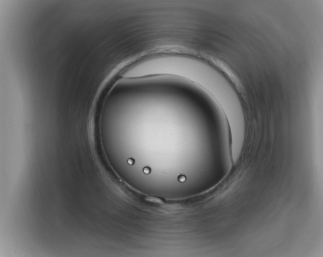 X0000113740391200910071050