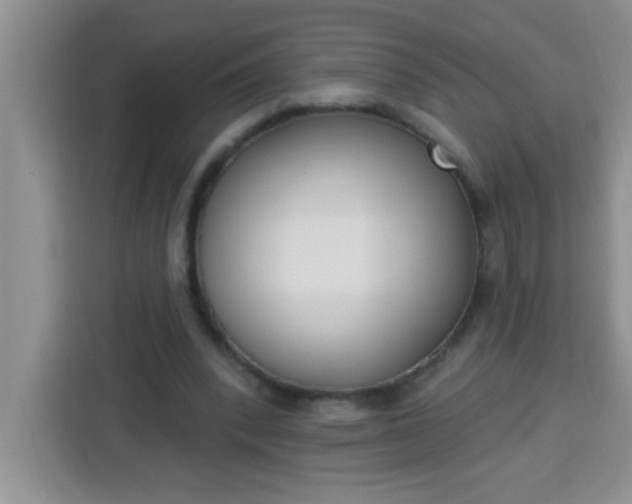 X0000113740392200910071050