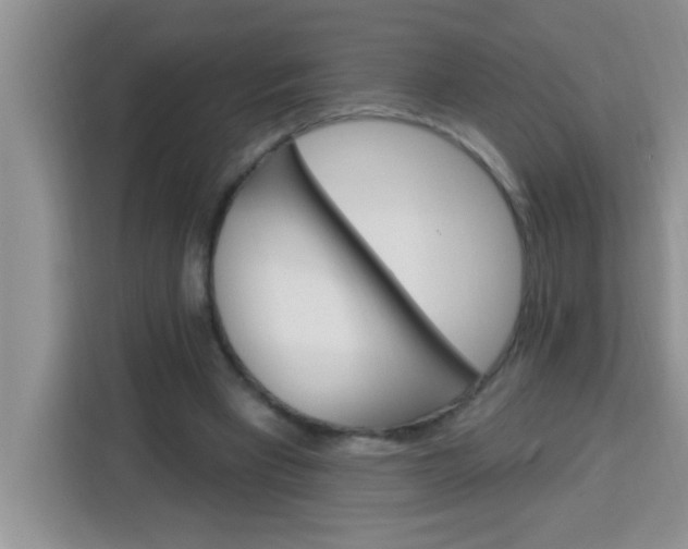 X0000113740393200910071050