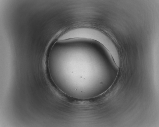 X0000113740395200910071050