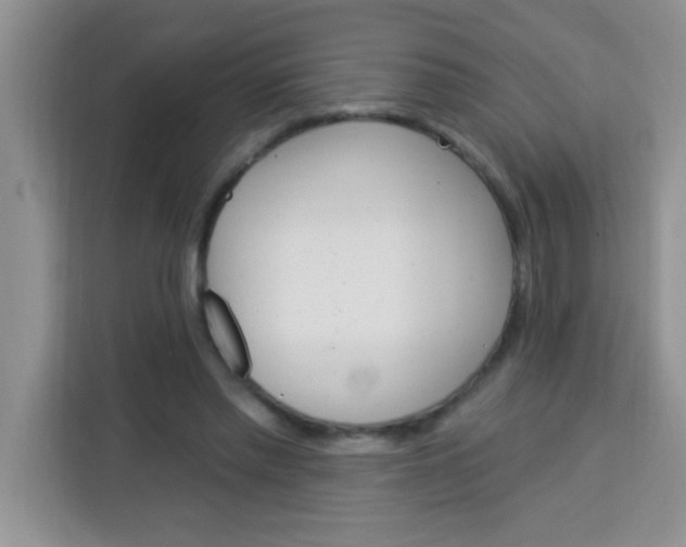 X0000113740397200910071050