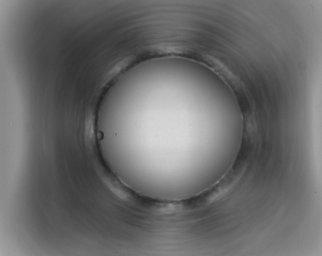 X0000113740398200910071050