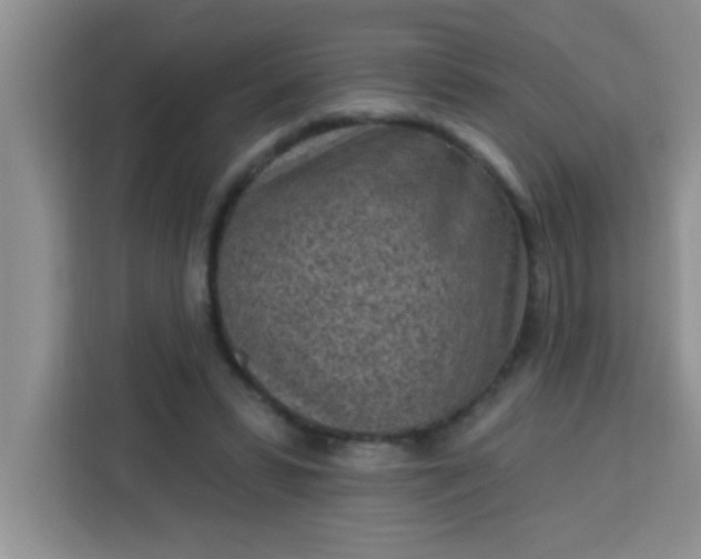 X0000113740399200910071050