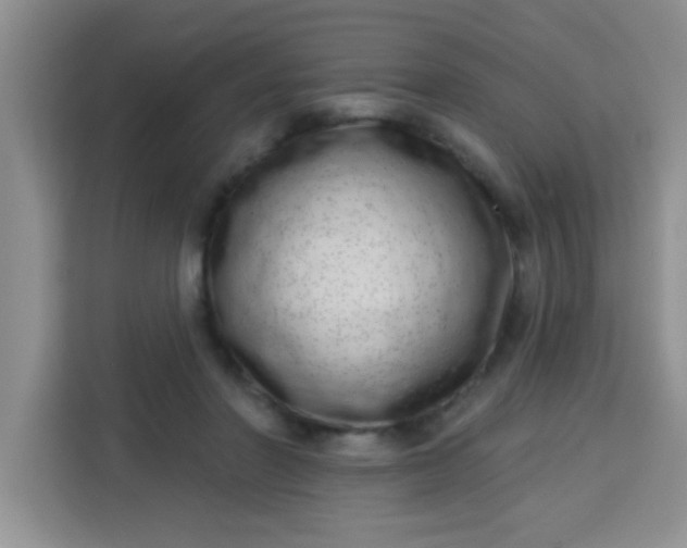 X0000113740406200910071050