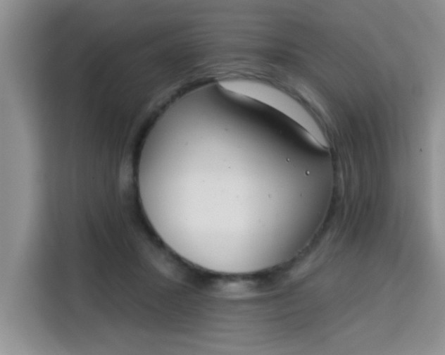 X0000113740407200910071050