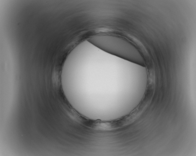 X0000113740409200910071050