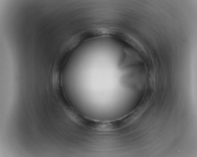 X0000113740410200910071050