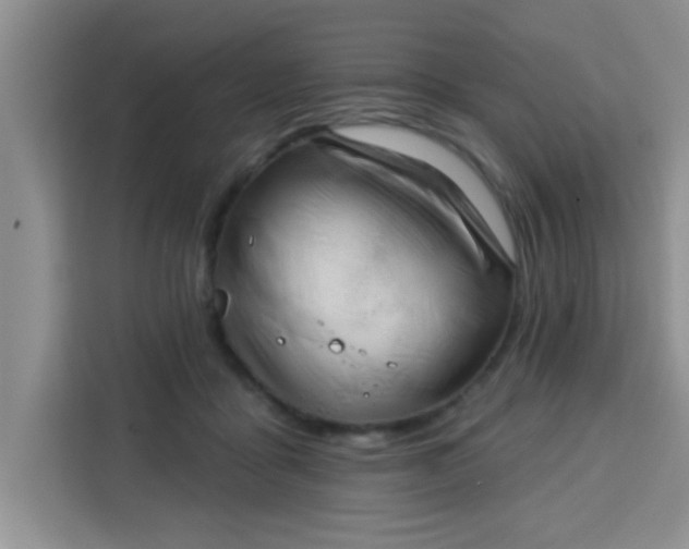 X0000113740411200910071050