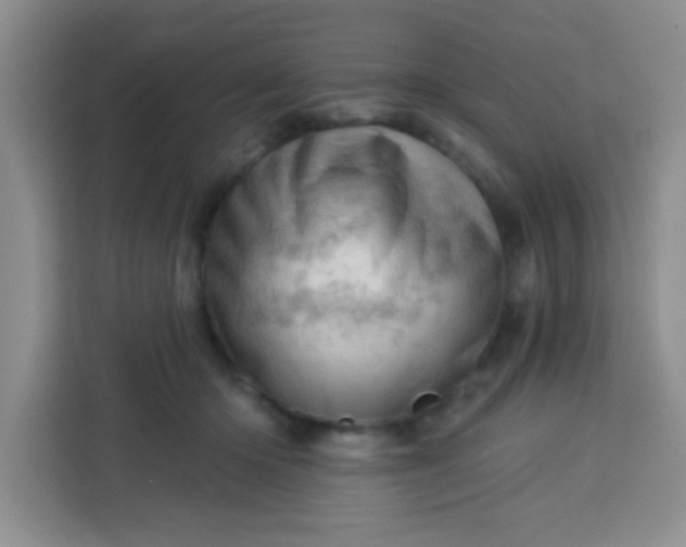 X0000113740414200910071050