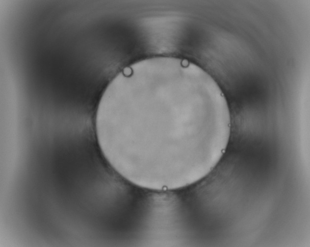 X0000113740415200910071050