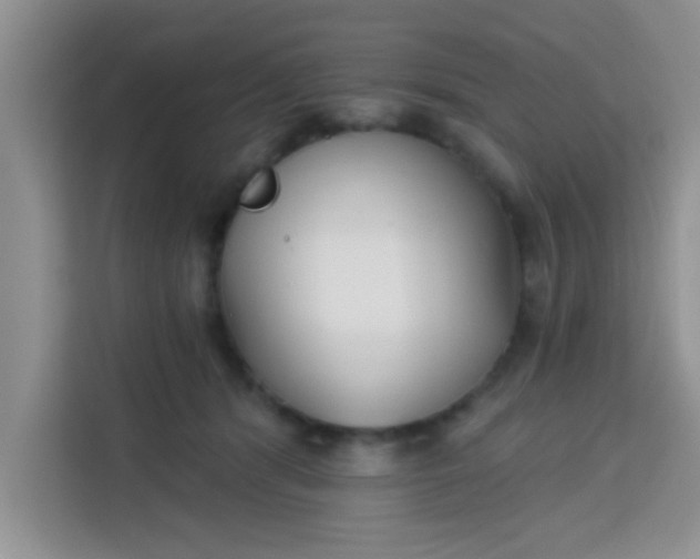 X0000113740416200910071050