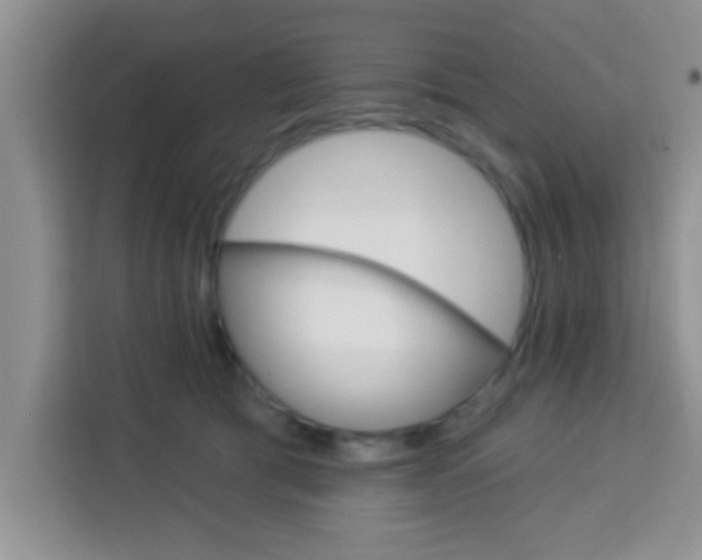 X0000113740417200910071050