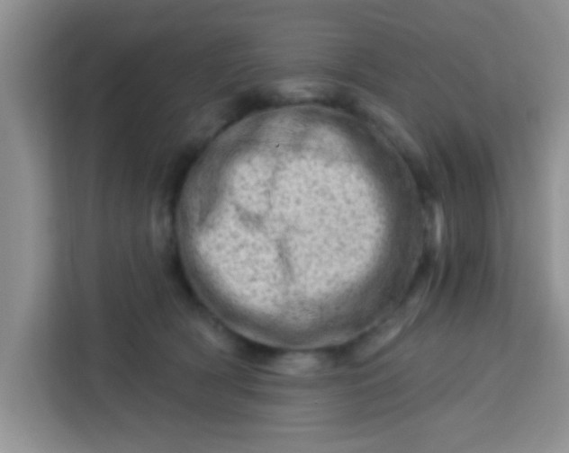 X0000113740418200910071050