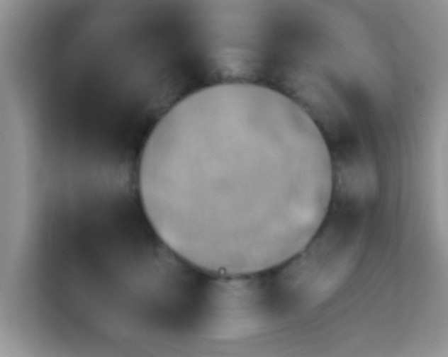 X0000113740419200910071050