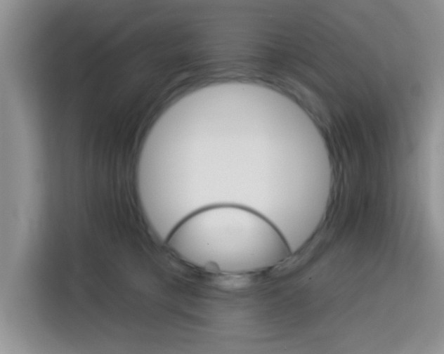 X0000113740421200910071050