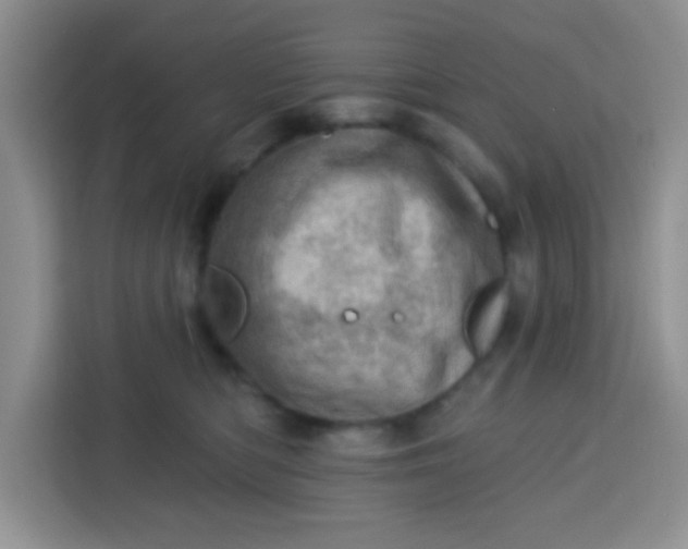 X0000113740422200910071050