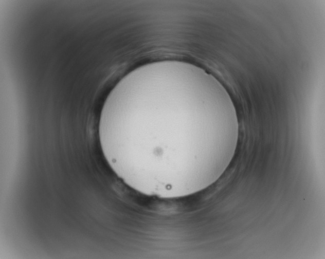 X0000113740423200910071050