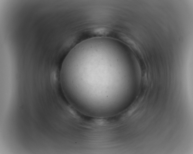 X0000113740424200910071050