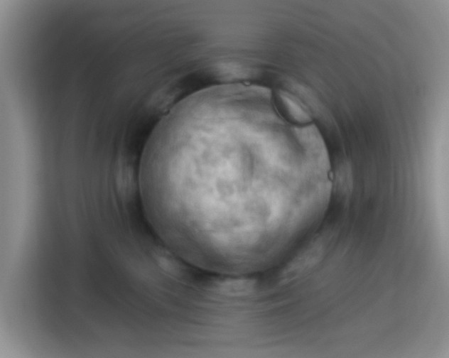 X0000113740426200910071050