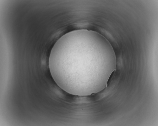 X0000113740428200910071050