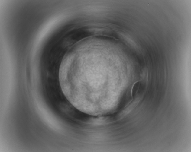 X0000113740430200910071050