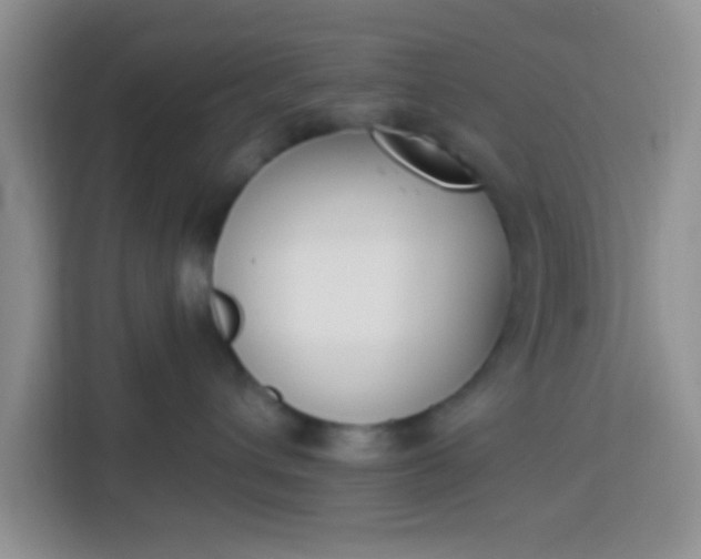 X0000113740432200910071050